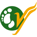 Yeti Airlines